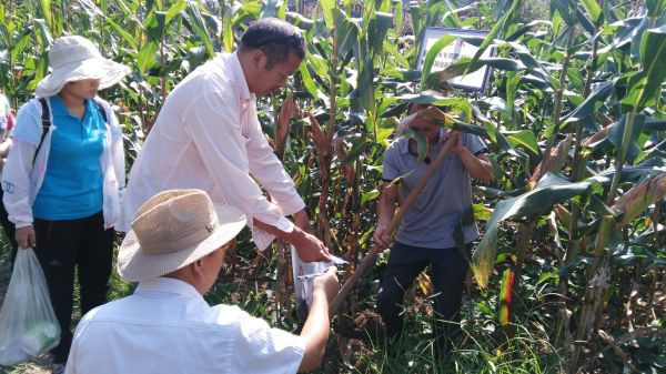 土壤養分快速測定儀分析土地利用方式與土壤質量的關系